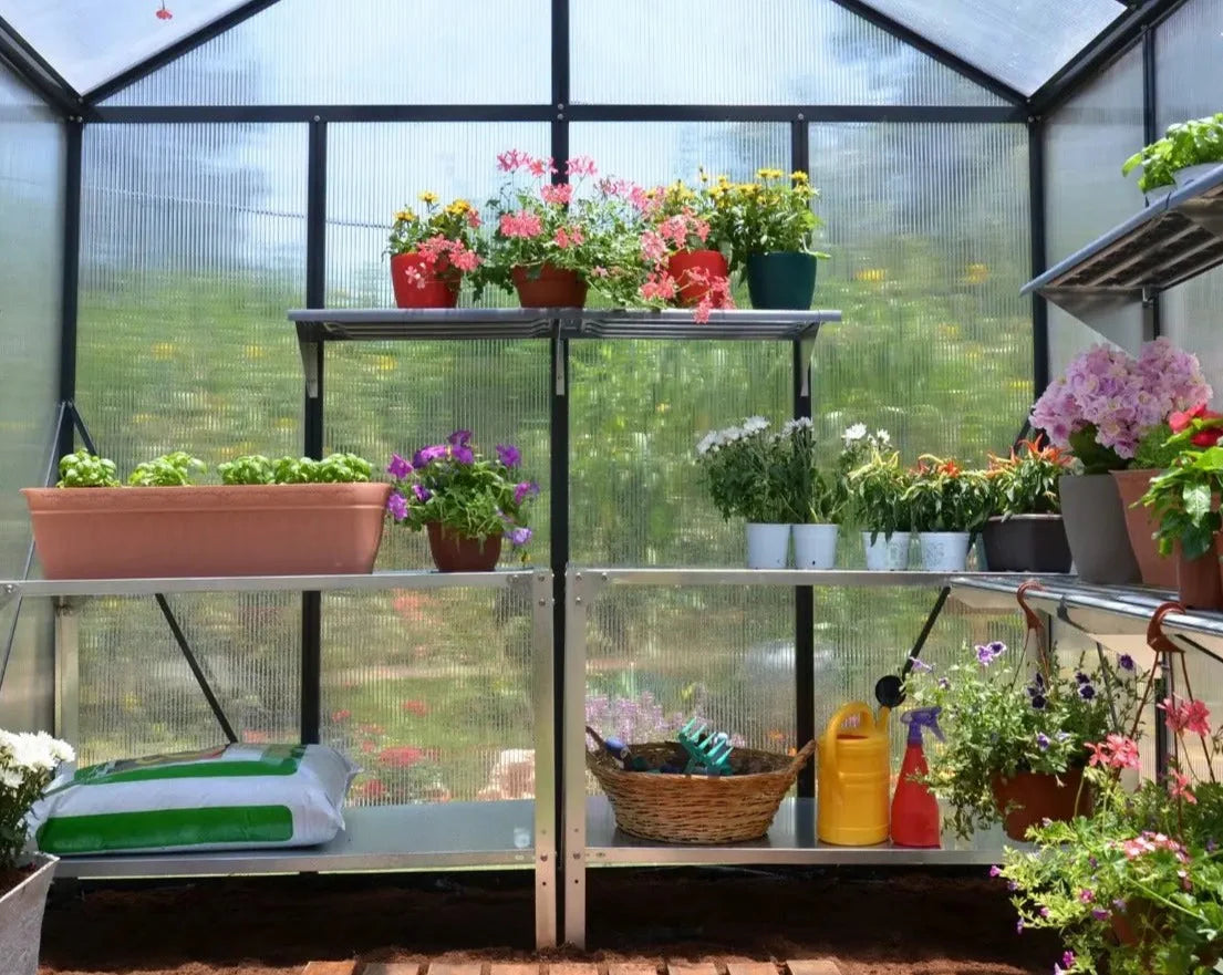 Glory® 8 ft. x 20 ft. Greenhouse with 10mm TwinWall Glazing | Palram-Canopia