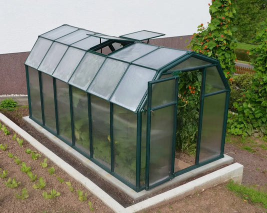 EcoGrow® ~6ft x 12ft Greenhouse Twin-Wall Panels Green Frame | Rion by Palram-Canopia