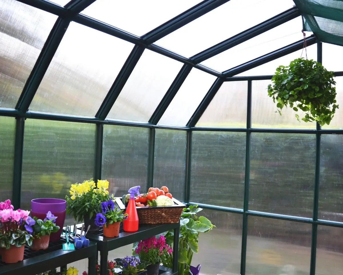 Grand Gardener® ~8 ft. x 16 ft. Greenhouse | Rion by Palram-Canopia