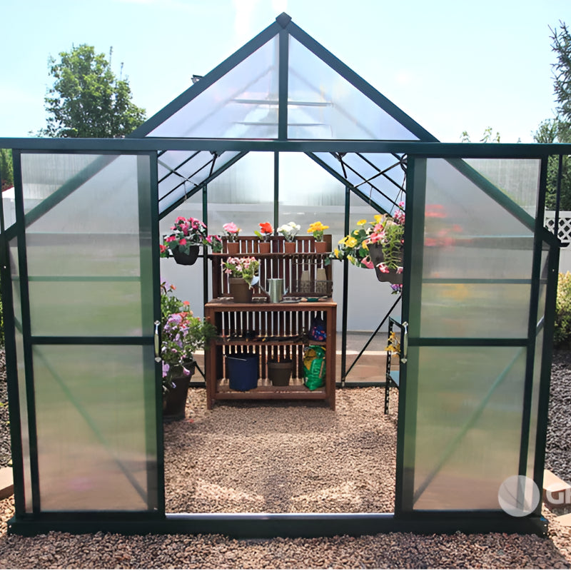 grandio greenhouse ascent 8x8 with plants 